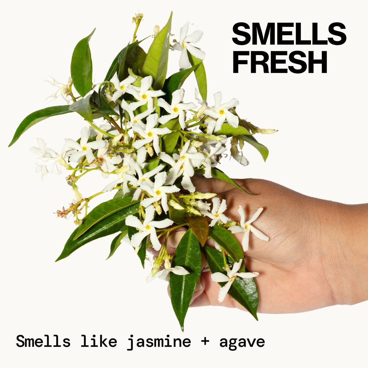 Jasmine Agave Strength + Shine Foaming Shampoo